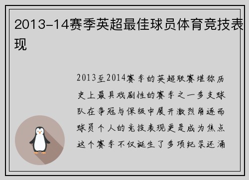 2013-14赛季英超最佳球员体育竞技表现